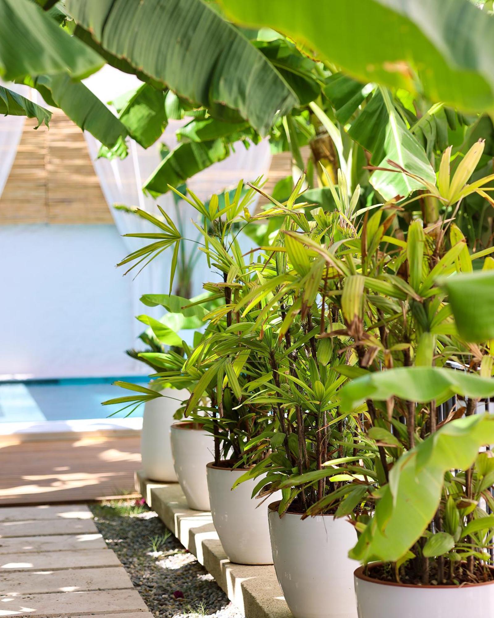 Voger Alacati Koeyici Ngoại thất bức ảnh